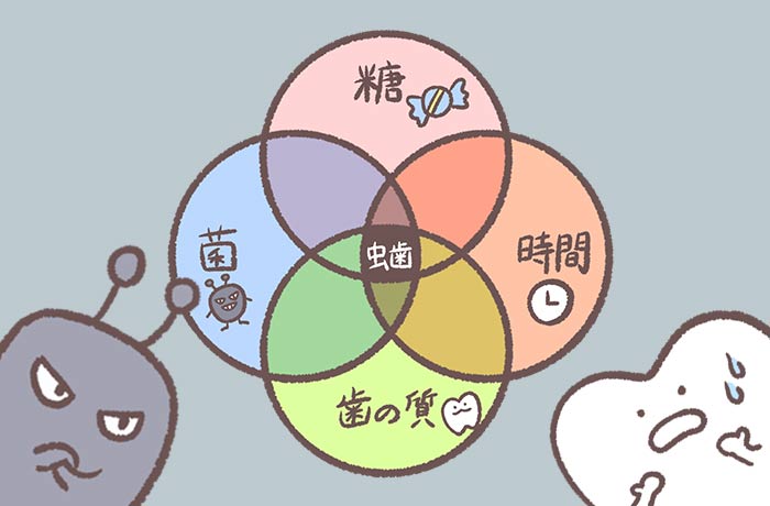 糖 菌 時間 歯の質という文字とバイキンと歯のイラスト